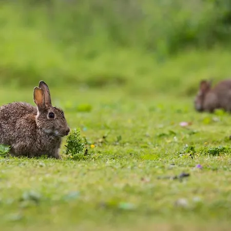 Yorkshire Dales 18 By Together Travel - 3-bed Premium Family Hébergement de vacances Richmond (North Yorkshire)